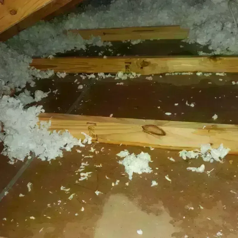 Attic Water Damage in Bluffton, OH