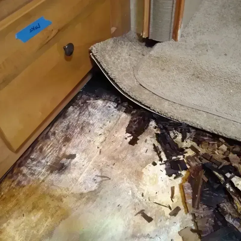 Best Wood Floor Water Damage Service in Bluffton, OH